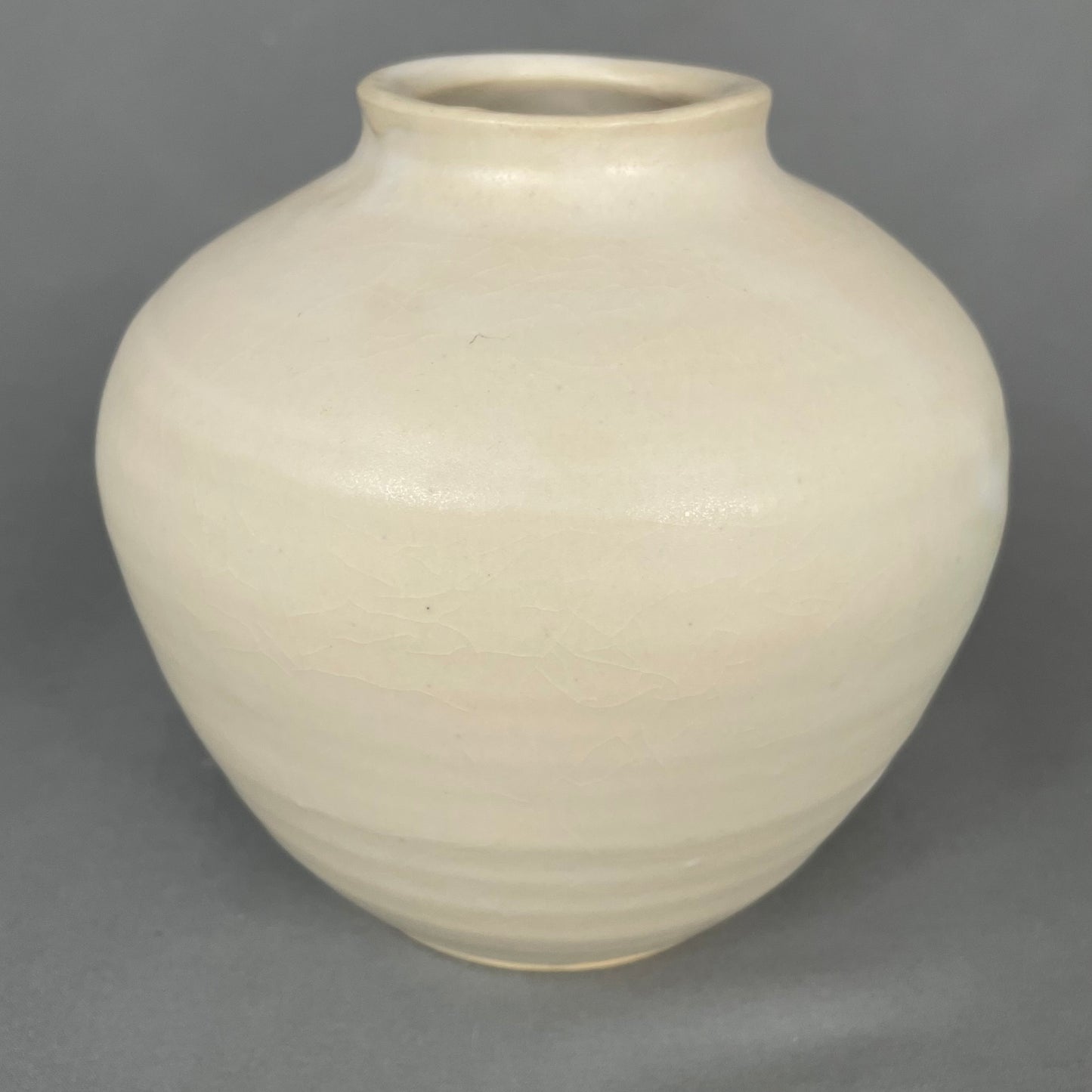 Blue cat-outline vase