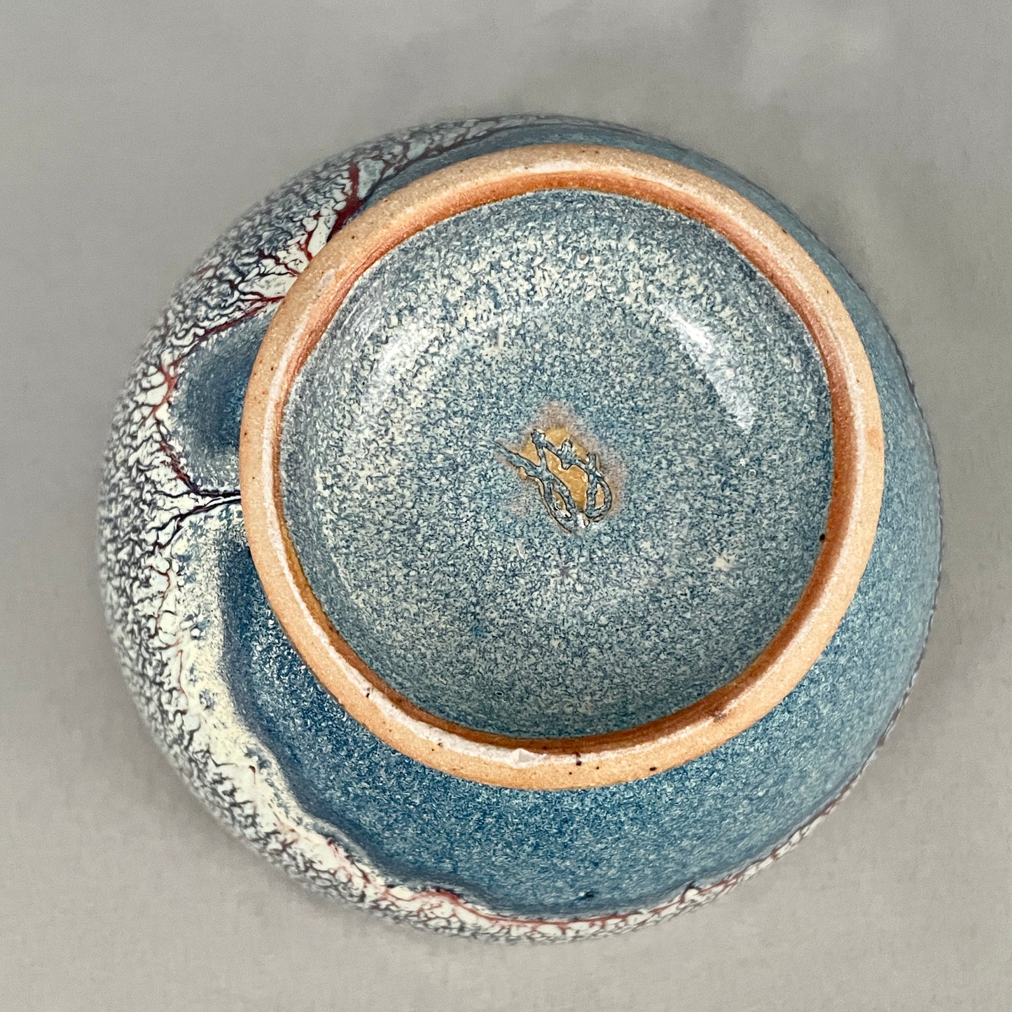 Tidepool Series. Bowl #13
