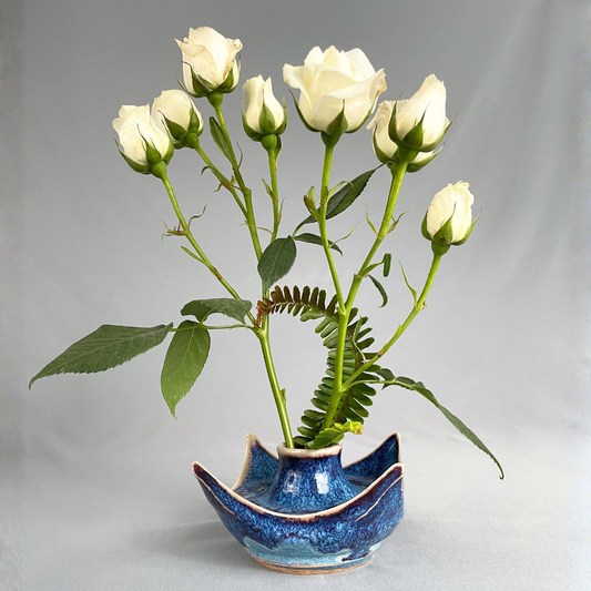 Blue Rhapsody small vessel